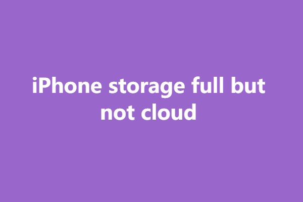 iPhone storage full but not cloud